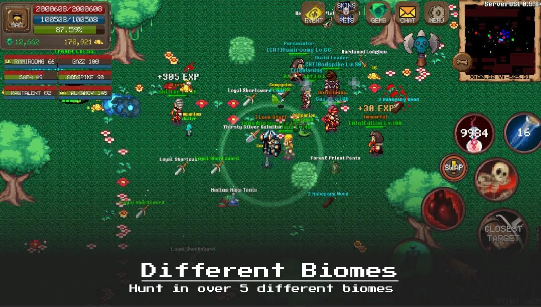 RPG Laurum Online - MMORPG - Pixel MMO - PVP ภาพหน้าจอ 3